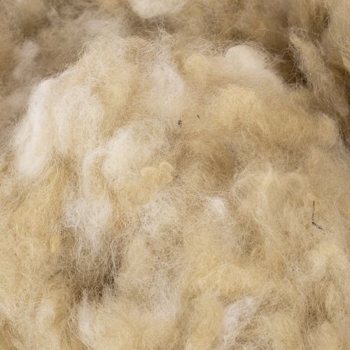 Laine de mouton naturelle beige en vrac 250g pour loisirs créatifs et décoration | Floristik24.fr