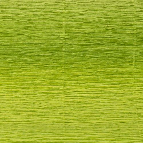 Article Papier crépon fleuriste vert herbe 50×250cm 5pcs