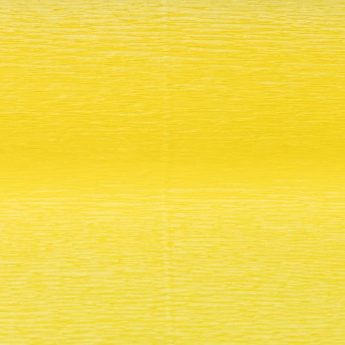 Article Papier Crêpe Fleuriste Jaune 50x250cm