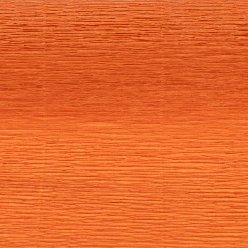 Rouleau de papier crêpon orange pour décoration florale 50x250 cm | Floristik24.fr