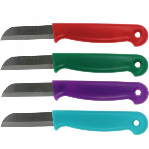 Floristik24 Couteau de fleuriste 15cm 10 pièces - couleur aléatoire