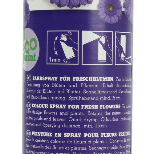 Floristik24 Décor Floral Violet 400ml spray