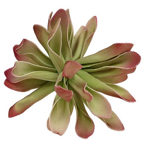 Floristik24 Fleur en mousse Ø12cm Vert/rouge 6P