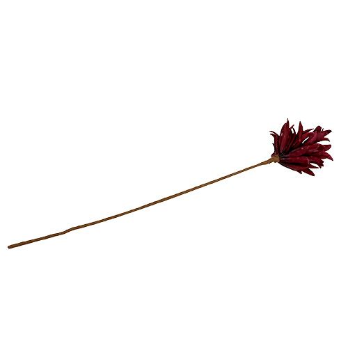 Floristik24 Fleur en mousse bordeaux 14cm L66cm