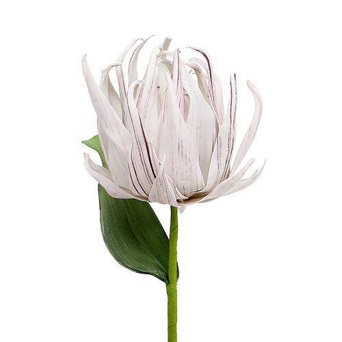 Floristik24.fr Fleur en mousse blanche et mauve 12 cm L. 30 cm 1 p. -  acheter pas cher en ligne