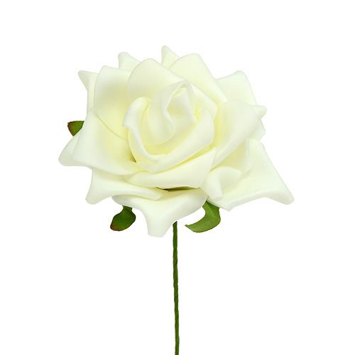 Floristik24 Rose en mousse Ø7,5cm crème 18 pcs
