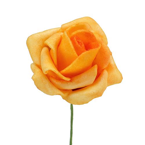 Floristik24 Mousse rose Ø 3.5cm abricot 48p