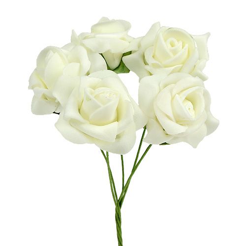 Mousse Rose Ø3,5cm Crème 48 pcs acheter | Floristik24.fr