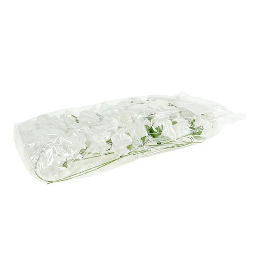 Mousse Rose Ø4.5cm blanc 36pcs