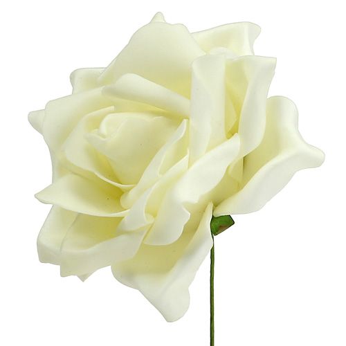 Floristik24 Roses en mousse crème Ø15cm 4pcs