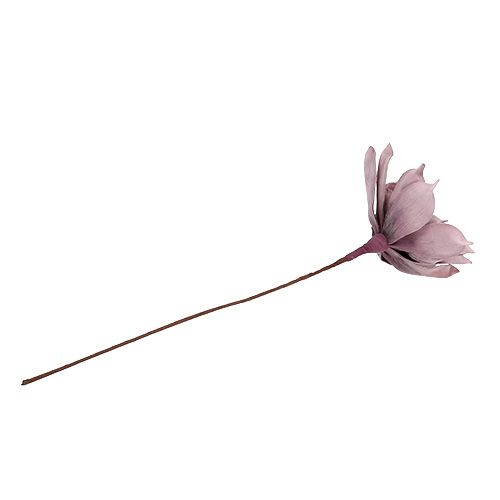 Floristik24 Magnolia en mousse en magenta Ø15cm L67cm