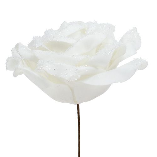 Floristik24 Foamrose blanc Ø10cm enneigé 6pcs