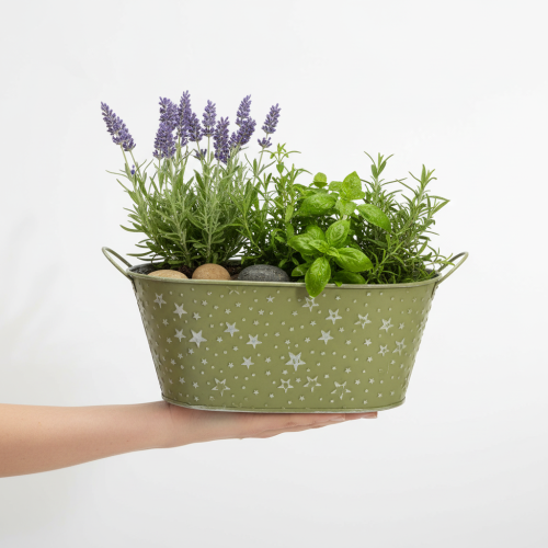 Article Bol ovale en métal vert, décoré d'étoiles et muni d'anses, 31 × 16 cm, H 12,5 cm