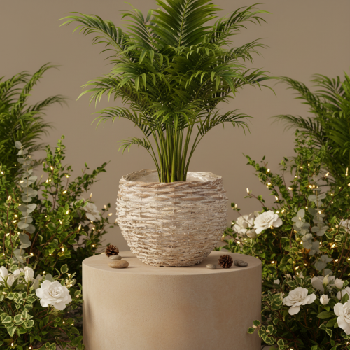 Décoratif panier rond en osier blanc 23 cm avec doublure plastique intégré | Floristik24.fr