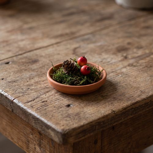 Soucoupe en terre cuite Ø6,2cm pour pots de fleurs et terrariums | Floristik24.fr