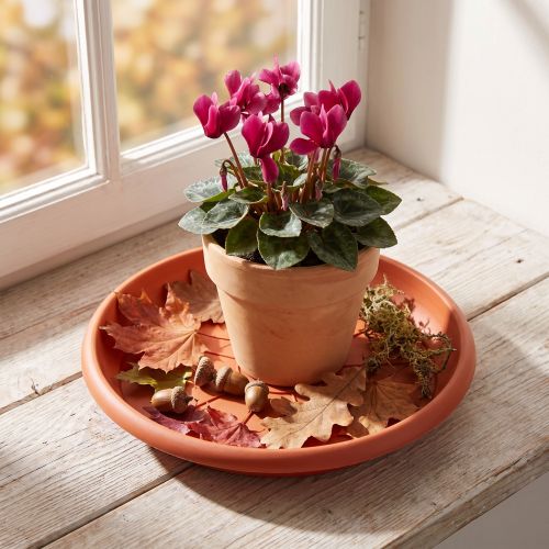 Soucoupe en plastique terracotta Ø20 cm série Linda | Floristik24.fr