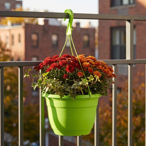 Suspension pour plante en plastique vert Ø25cm | Floristik24.fr