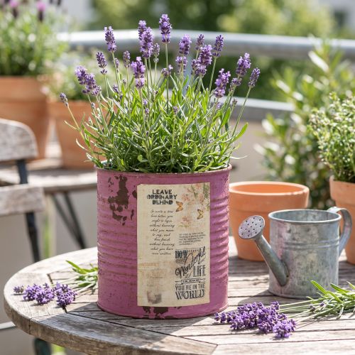 Cache-pot vintage en métal rose effet rouille, Ø11 cm, H10,5 cm | Floristik24.fr