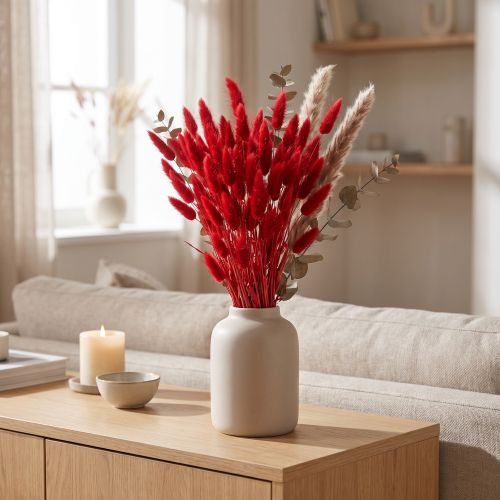 Deko-grass rouge séché, Lagurus ovatus, bouquet de 25 g, 30-50 cm | Floristik24.fr