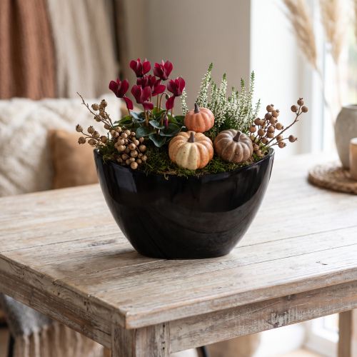 Coupe décorative noire ovale en plastique 24 x 9,5 x 14,5 cm | Floristik24.fr