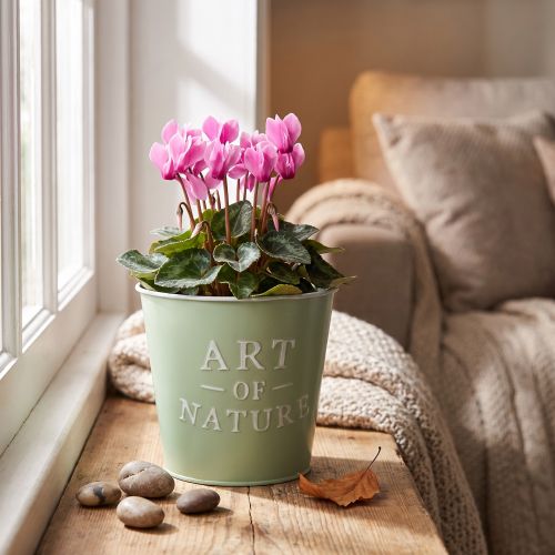 Article Pot en métal couleur vert menthe avec inscription "Art of Nature" Ø15 cm H13,5 cm