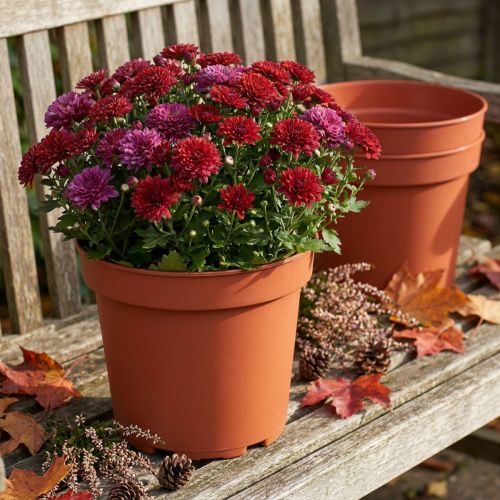 Lot de 10 pots de fleurs en plastique terracotta Ø23 cm | Floristik24.fr