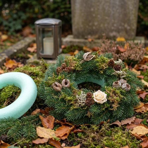 Cercles en polystyrène Ø20 cm - Lot de 2 | Floristik24.fr