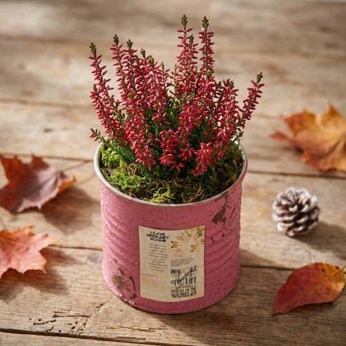 Petit pot décoratif en métal violet effet vintage Ø8 cm H7,5 cm | Floristik24.fr