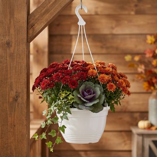 Suspension pour Plantes Ø30 cm en Plastique Blanc | Floristik24.fr