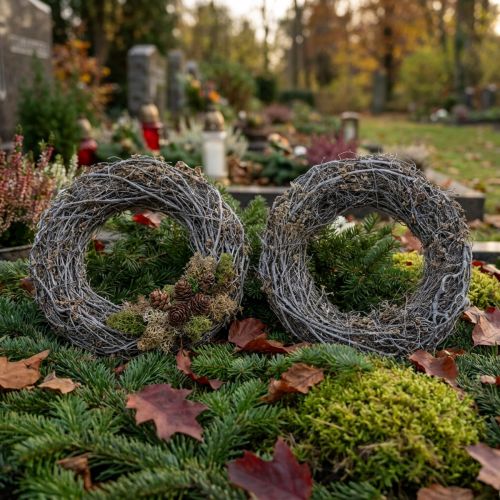 Couronne en Branches Blanches Ø25cm Lot de 2 pour Décoration ou Créations DIY | Floristik24.fr