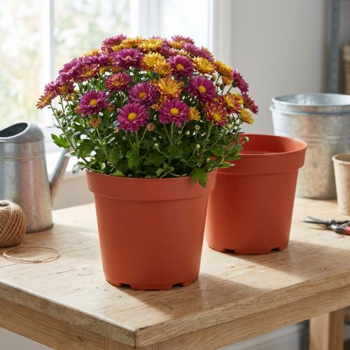 Pots en plastique pour plantes Ø21 cm - Lot de 10 | Floristik24.fr