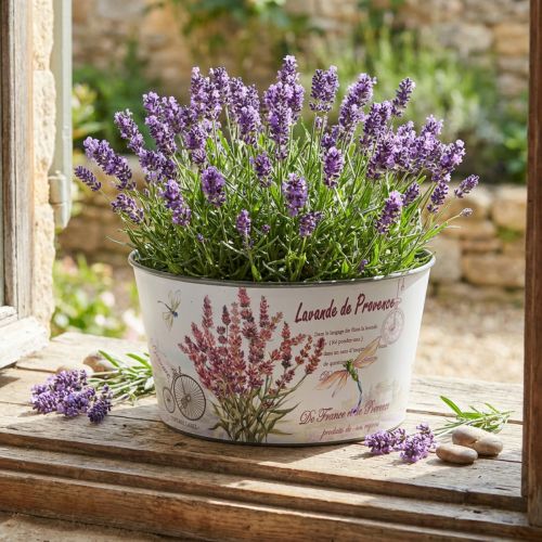 Cache-pot rond en plastique avec motif lavande Ø21 cm H11 cm | Floristik24.fr