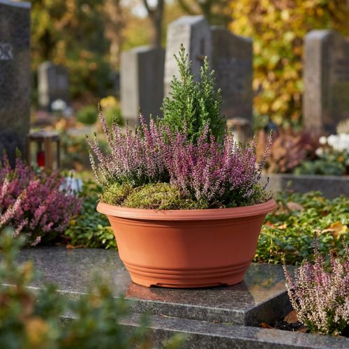 Pots de fleurs en plastique terracotta Ø20cm – Lot de 5 | Floristik24.fr