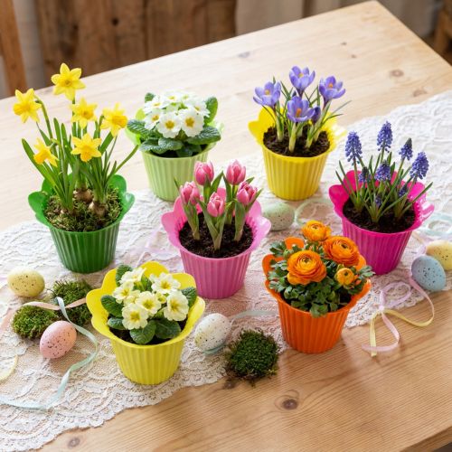 Lot de 25 pots en plastique fleur Ø12 cm - Couleurs vives assorties | Floristik24.fr