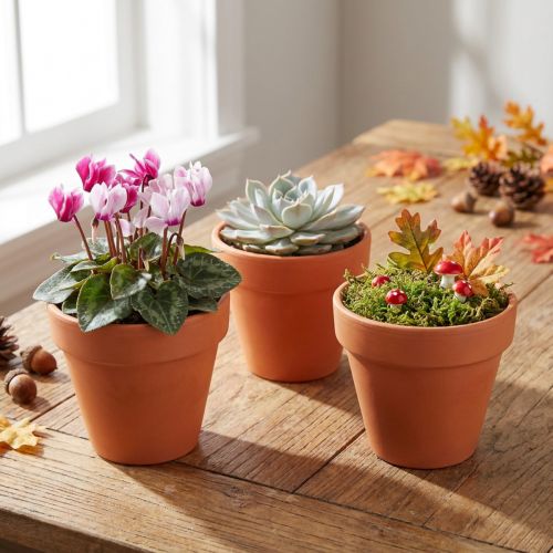 Article Lot de 10 mini pots en terre cuite Ø6cm x H5cm