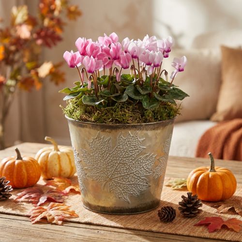 Pot décoratif en métal doré avec motif de feuilles - Ø16,5 cm H14,5 cm | Floristik24.fr