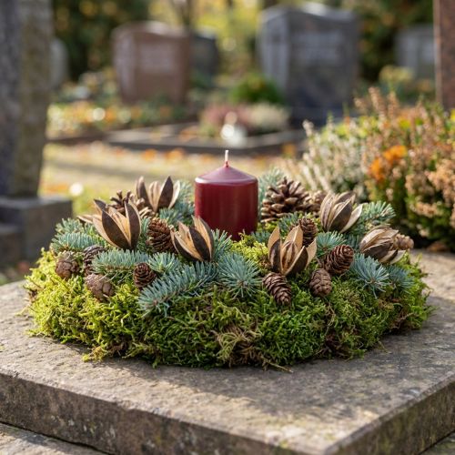 Lot de 50 fleurs séchées exotiques en bois - 6 à 8 cm | Floristik24.fr
