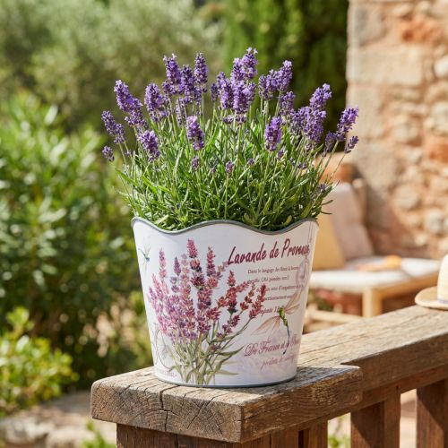 Pot décoratif en plastique motif lavande Ø16,5cm H13,5cm | Floristik24.fr