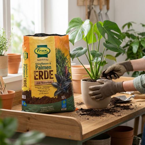 Terreau spécial plantes vertes et palmiers avec engrais longue durée 10L | Floristik24.fr