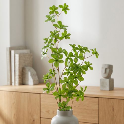 Branche décorative