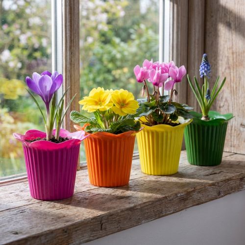 Ensemble de 25 Pots Fleur en Plastique Multicolore Ø9cm | Floristik24.fr