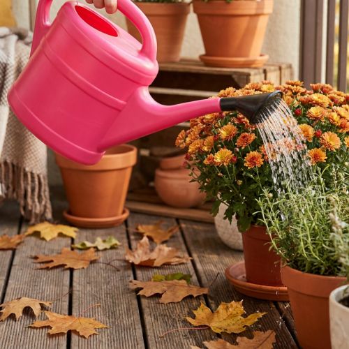 Arrosoir Rose 5L avec