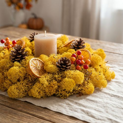 Mousse de lichen d’Islande jaune 400g | Floristik24.fr