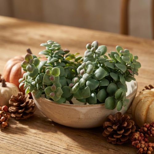 Plante Artificielle Eucalyptus à Piquer 18 cm – Lot de 4 | Floristik24.fr