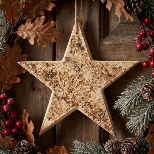 Étoile décorative en bois avec écorce de bouleau, Ø 20 cm | Floristik24.fr