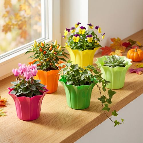 Lot de 10 Cache-Pots en Plastique Coloré Ø9 cm | Floristik24.fr
