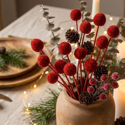 Article Fleurs séchées Craspedia rouges, tiges longues 55 cm, lot de 20