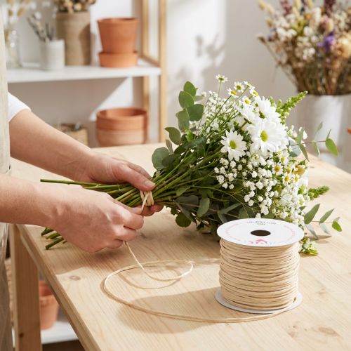 Article Fil décoratif 50 m en papier naturel