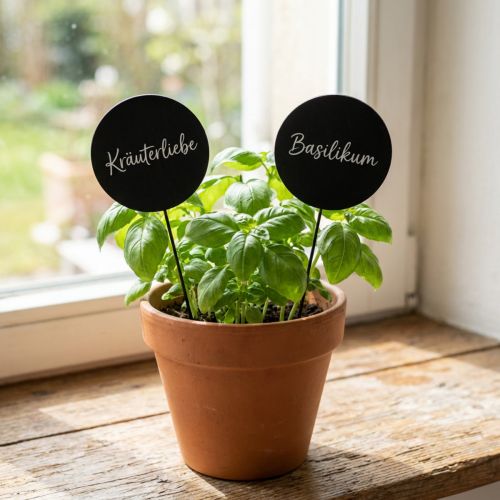 Plaques rondes en bois noir sur tige métallique pour décoration Ø6cm L15cm - Lot de 12 | Floristik24.fr