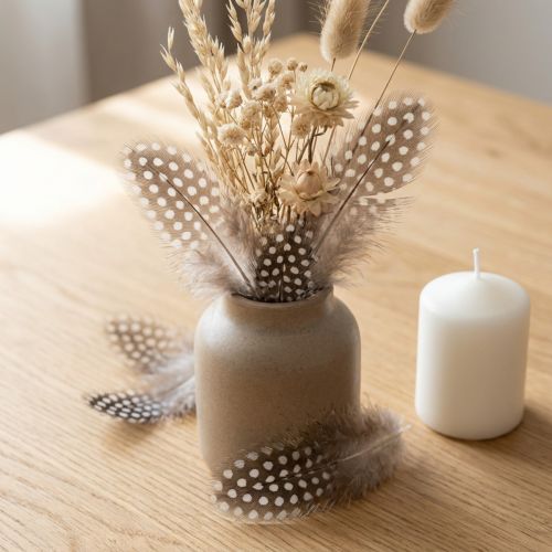 Plumes de Pintade Naturelles 10g Beige et Brun | Floristik24.fr